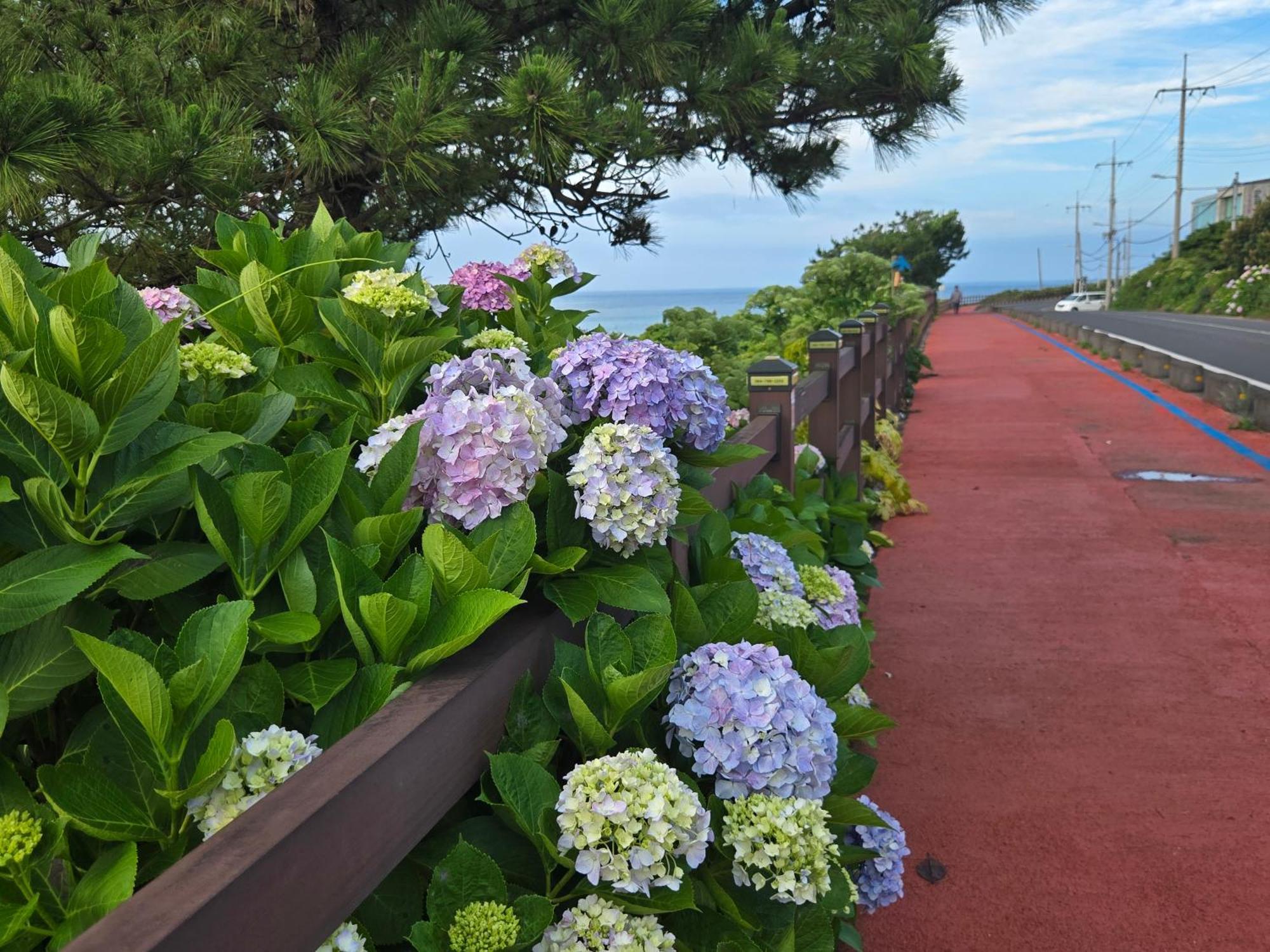 度假居 Gaviota