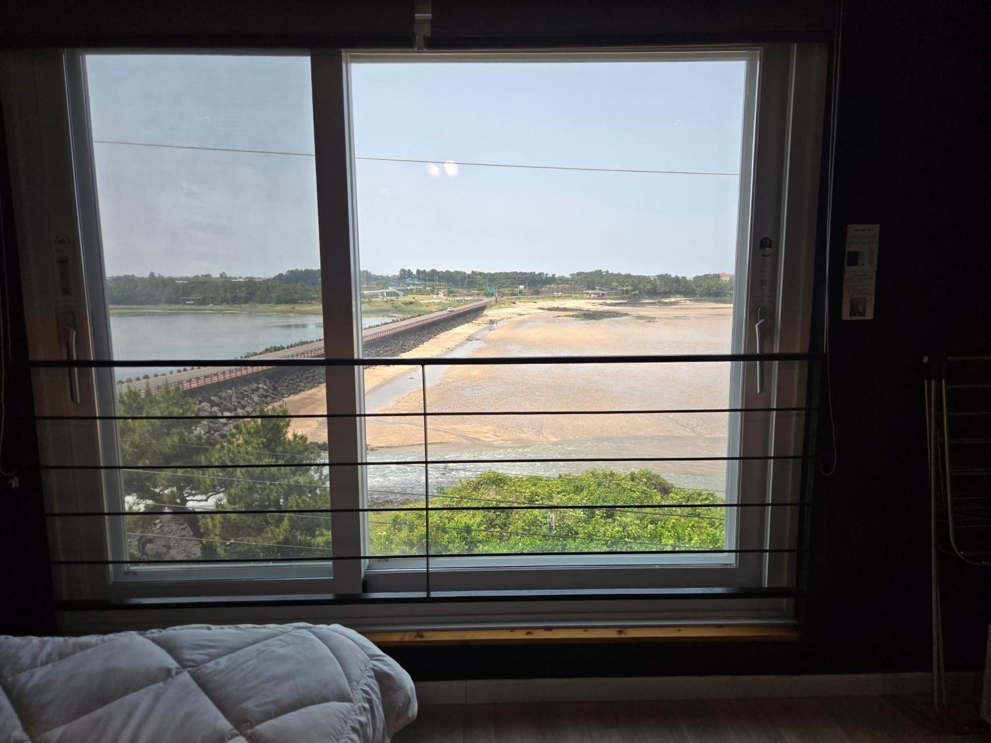 Gaviota Jeju